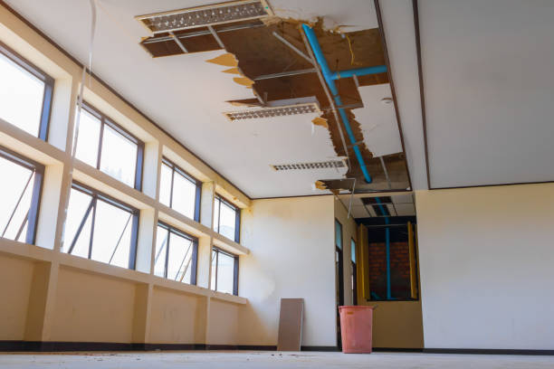 Best Flood damage cleanup  in Brighton, TN