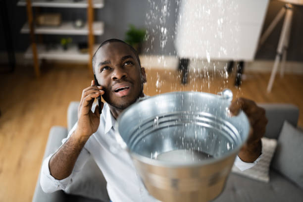 Best Flood damage cleanup  in Brighton, TN