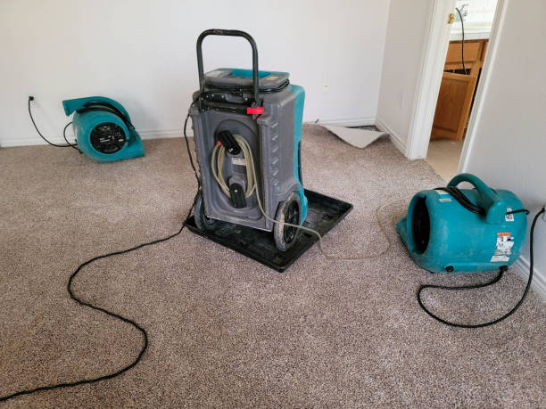Best 24-hour water damage restoration  in Brighton, TN