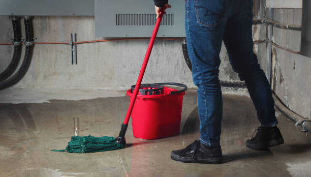 Best Water damage cleanup near me  in Brighton, TN