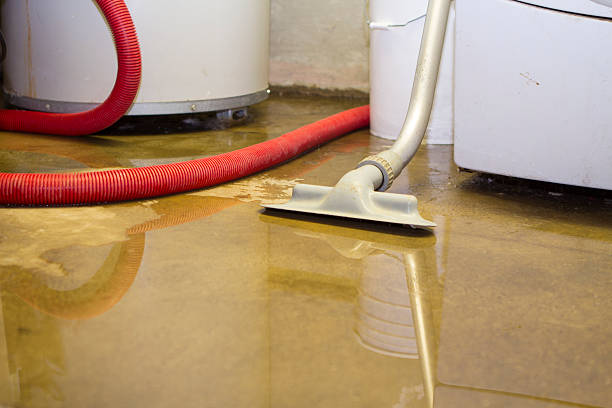 Best Sewage cleanup and water damage restoration  in Brighton, TN