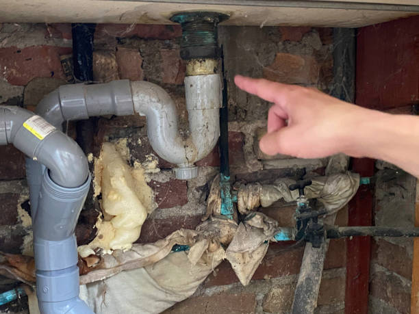 Best Water damage contractors near me  in Brighton, TN
