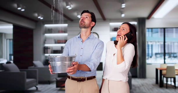 Best Fire Damage Restoration  in Brighton, TN