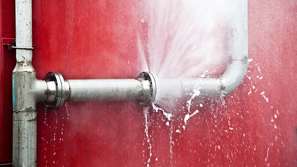 Best Mold removal after water damage  in Brighton, TN