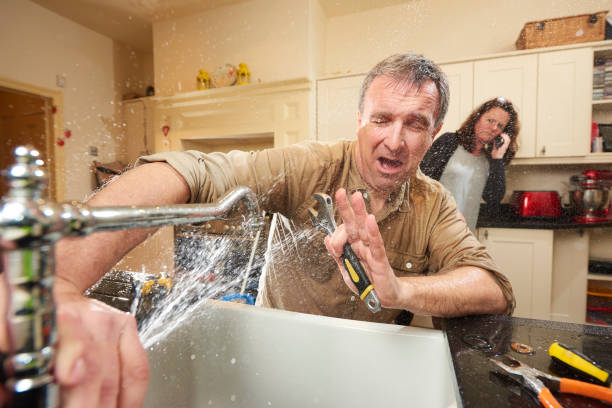Best Ceiling water damage repair  in Brighton, TN